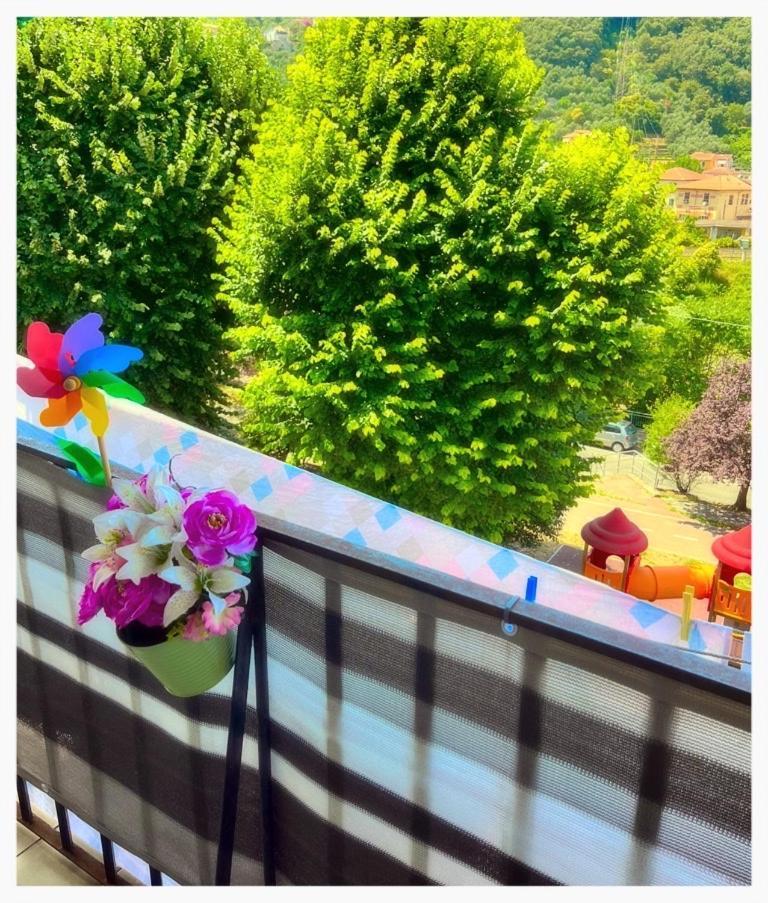 Hébergement de vacances Dodo House *